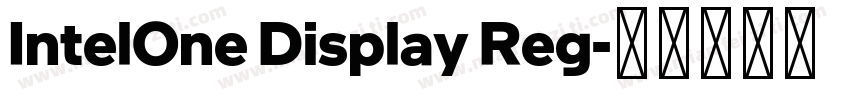 IntelOne Display Reg字体转换